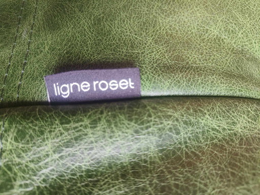 Togo Ligne Roset, Dreisitzer aus grünem Leder