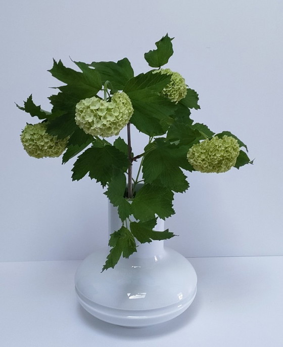 Image 1 of Gerold porcelain vase from the 1980s