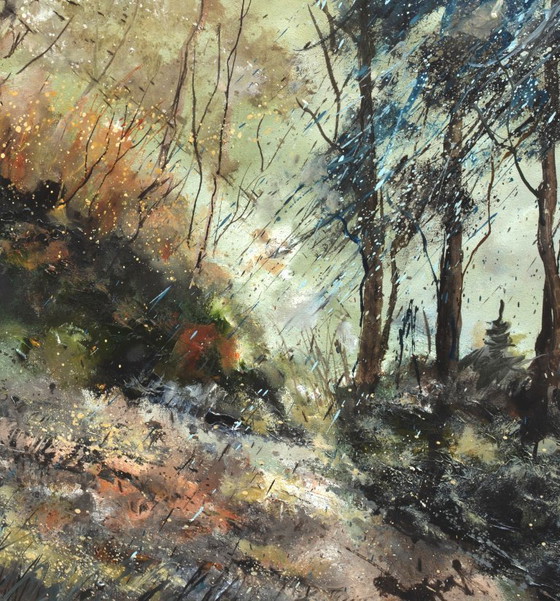 Image 1 of Winter light in the wood