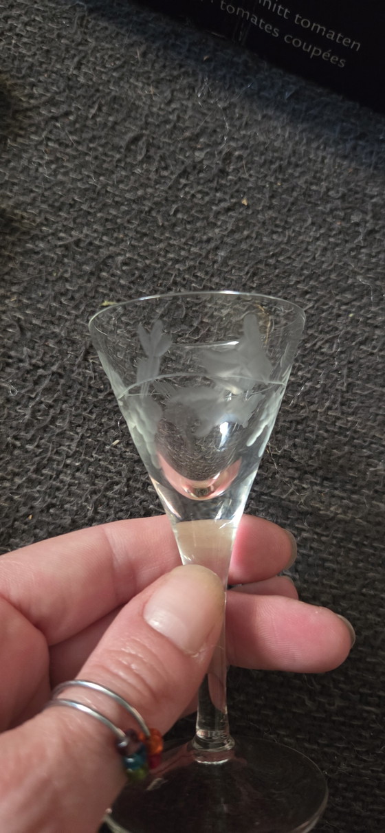 Prachtige Vintage Likeurset / Portset met Karaf en 6 Glazen – Geëtst Bloemmotief – Glazen & Karaffen, Glass (photo 4 of 5)