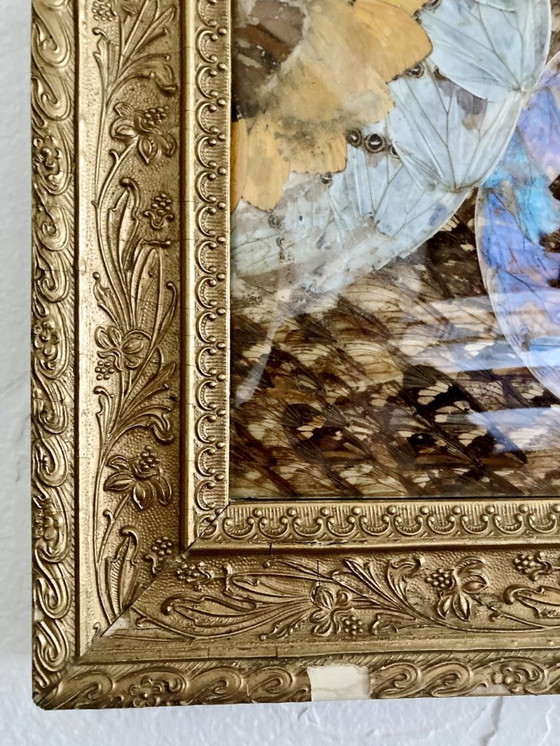 Image 1 of Composizione astratta incorniciata a forma di ali di farfalla