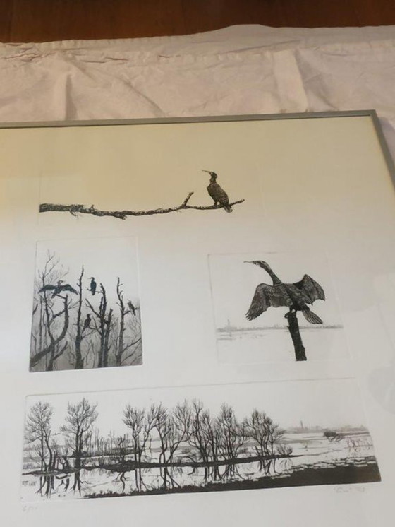 Image 1 of Ans van der Zweep-Heijmen Etching compilation - Cormorants in the Gelderland landscape