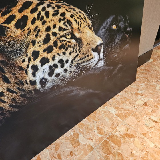 Ebenholz und Elfenbein, Panther Krebs Mat Aluminium – YellowKorner, Fotografie, Paper (photo 6 of 8)