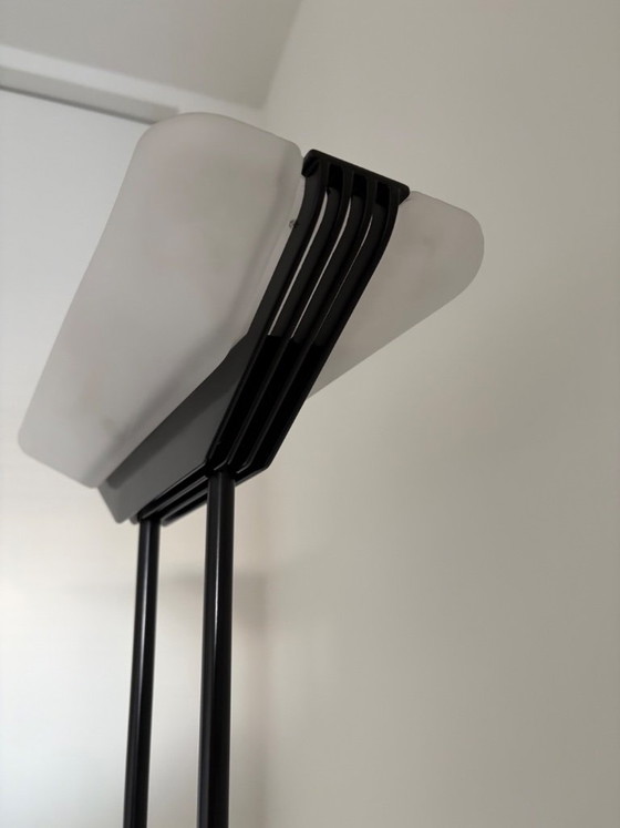 Arteluce Lamp – Vloerlampen, Metal (photo 8 of 8)