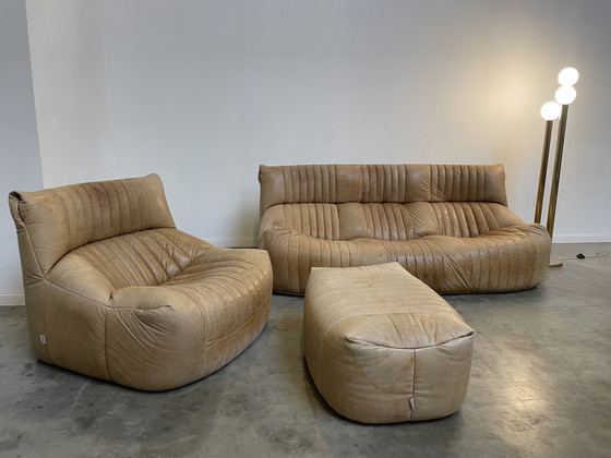 Image 1 of Ligne Roset Model Aralia For Michel Ducaroy sofa