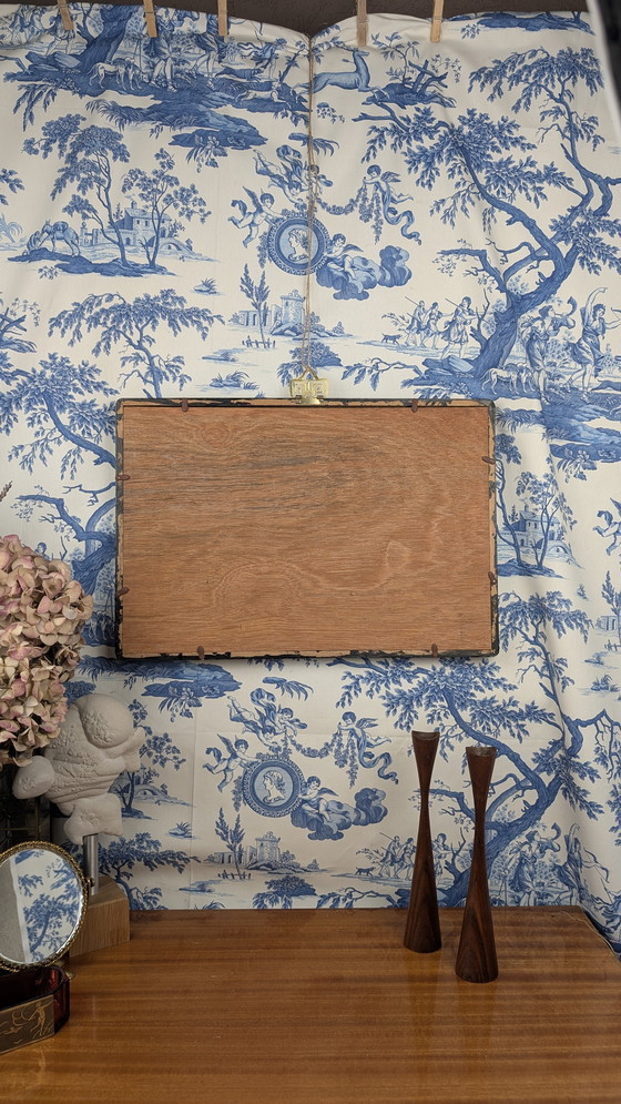Image 1 of Large Entomological Butterfly Taxidermy Display Case Curiosity Cabinet