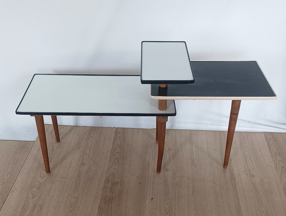 Image 1 of Mesa para plantas ajustable Opal de los años 50