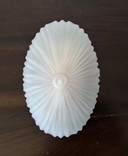 Schelpvormige plafondlamp