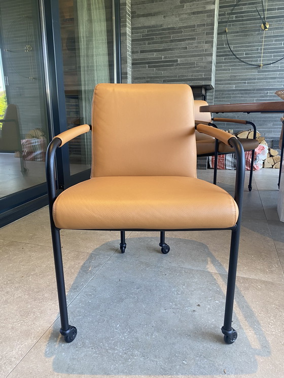 Image 1 of 6x Movani Design Esstischstühle - NEW