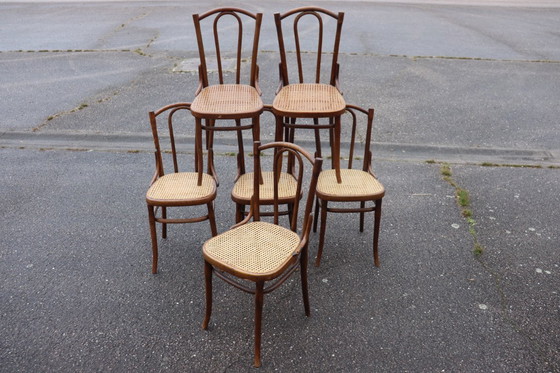 Image 1 of Sedie da bistrot serie x6 n. 56 di Thonet