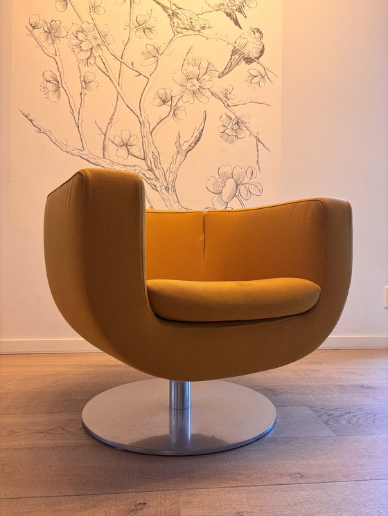 Image 1 of B&B Italia Tulip Armchair