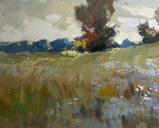Image 1 of Original Oil Painting Gray Day Landscape Summer flower meadows
