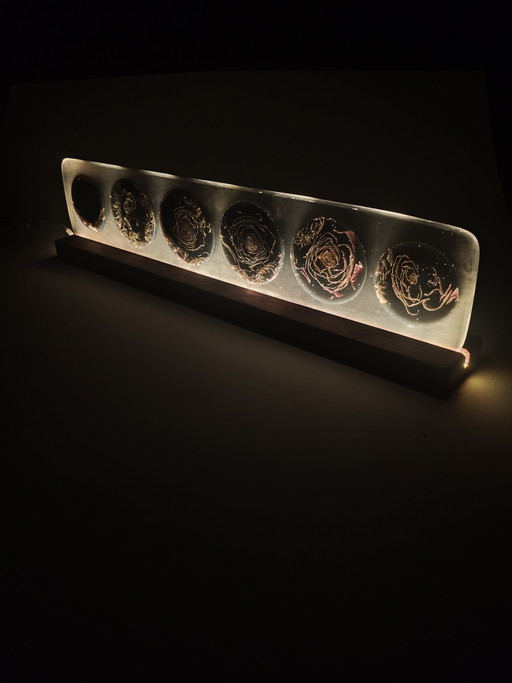 Luz Floral II — La Temporada Tranquila