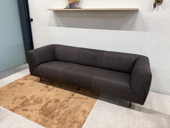 Image 1 of Label van den Berg Moby Dick 3 Seater Dark Brown