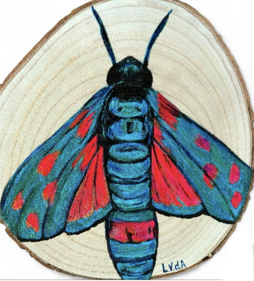 Disco di tronco d'albero in legno con farfalla colorata dipinta