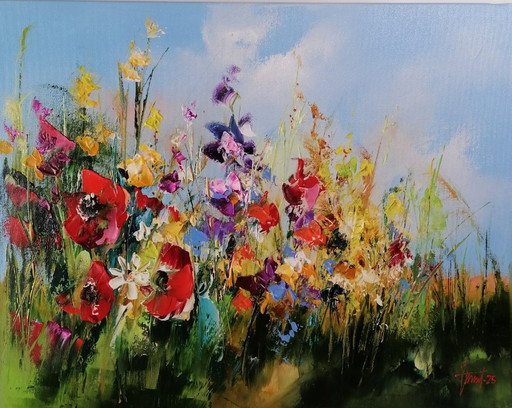 Alfred Aniol - Meadow