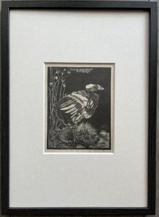Image 1 of Jan Mankes 1889-1920 / Héliogravure originale Nestkuiken 1923