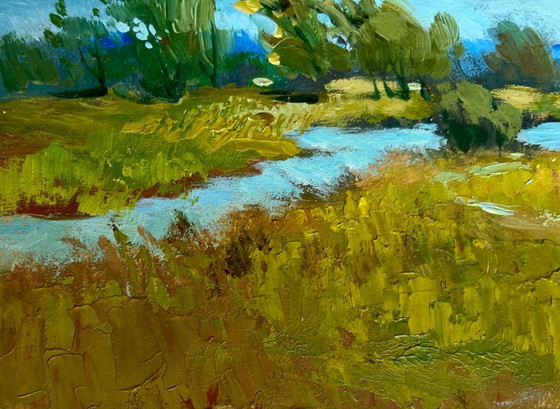 Image 1 of Original Oil Painting Summer Nature Landscape A small flood of the river