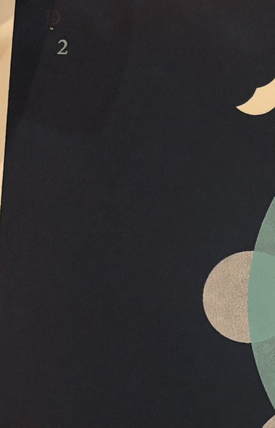 Image 1 of Zeefdruk Rinke Nijburg 2018