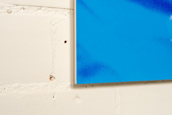 Image 1 of Herman Brood - Romance sauvage - Pays-Bas 1981