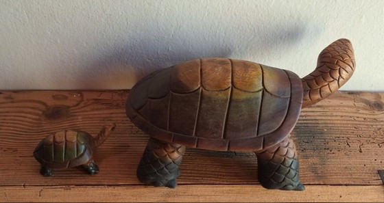 Tartarughe intagliate – Sculture, Legno (photo 2 of 13)