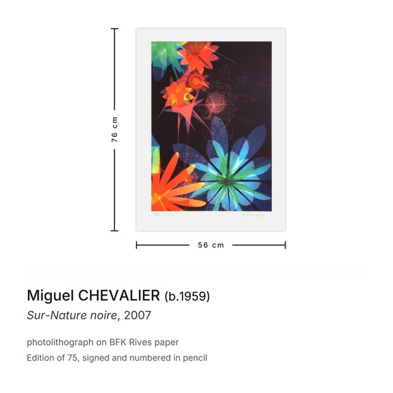 Image 1 of Miguel CHEVALIER Sur-Nature noire Signierte Fotolithographie 2007
