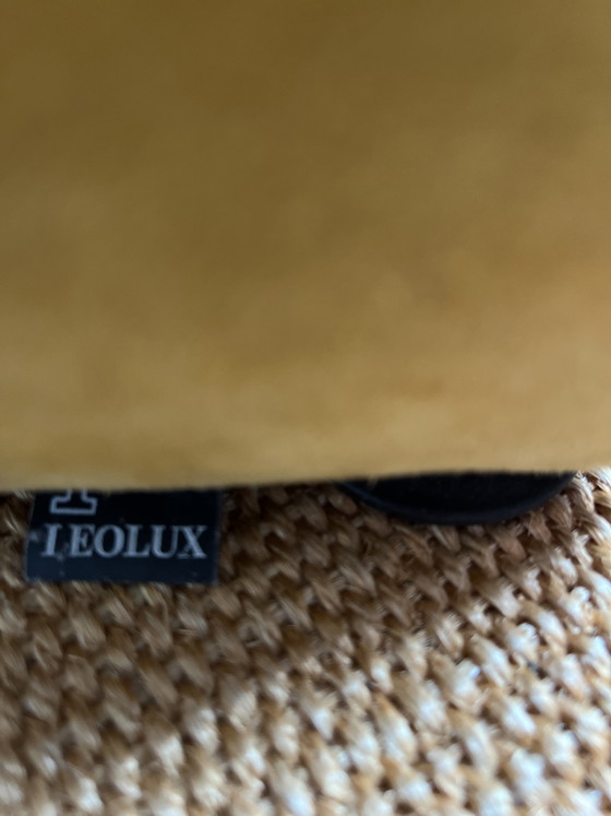 Leolux Carabita 2 Chairs – Armchairs, Other (photo 6 of 6)