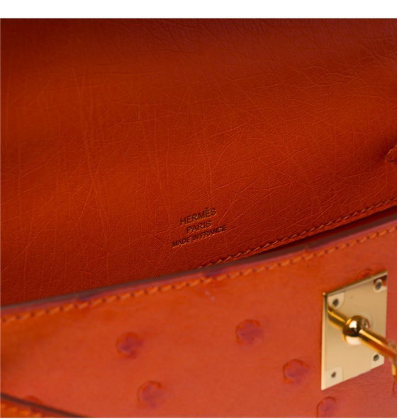 Image 1 of Sac HERMES Kelly Mini en Cuirs exotiques Orange - 103364