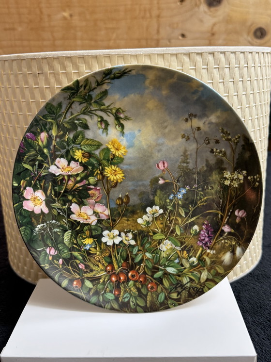 Image 1 of 🌸 “Wild Beauty” | Fürstenberg collector plates | Limited Edition | Complete and rare series | New