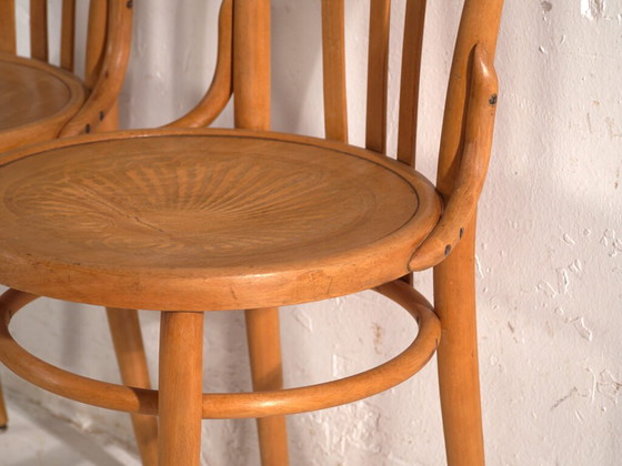 Antique chairs in Thonet style bentwood – Central Europe, circa 1930 #1 – Dining chairs (photo 31 of 40)
