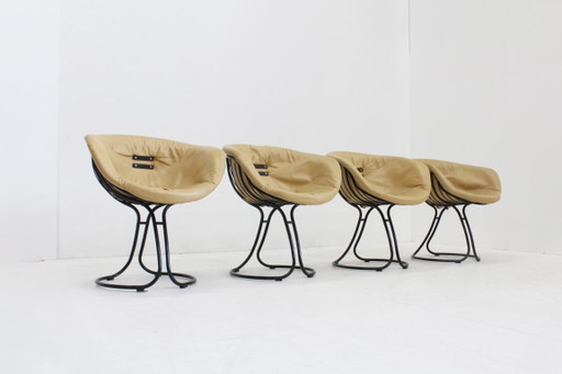 Juego de 4 sillas de comedor Pan Am de Gastone Rinaldi para Rima Italy