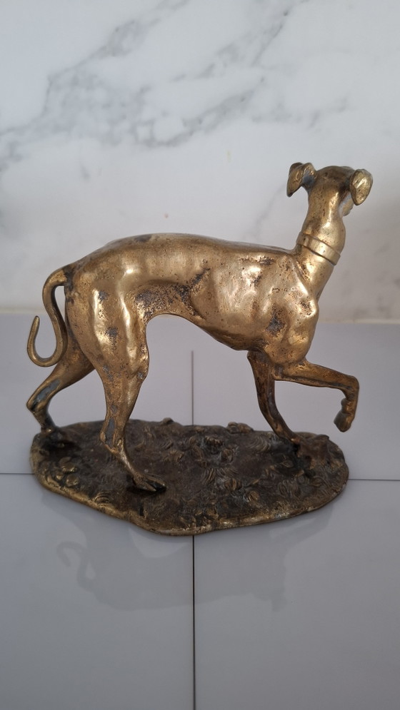 Image 1 of Lévrier en bronze, fin du XIXe ou début du XXe siècle.