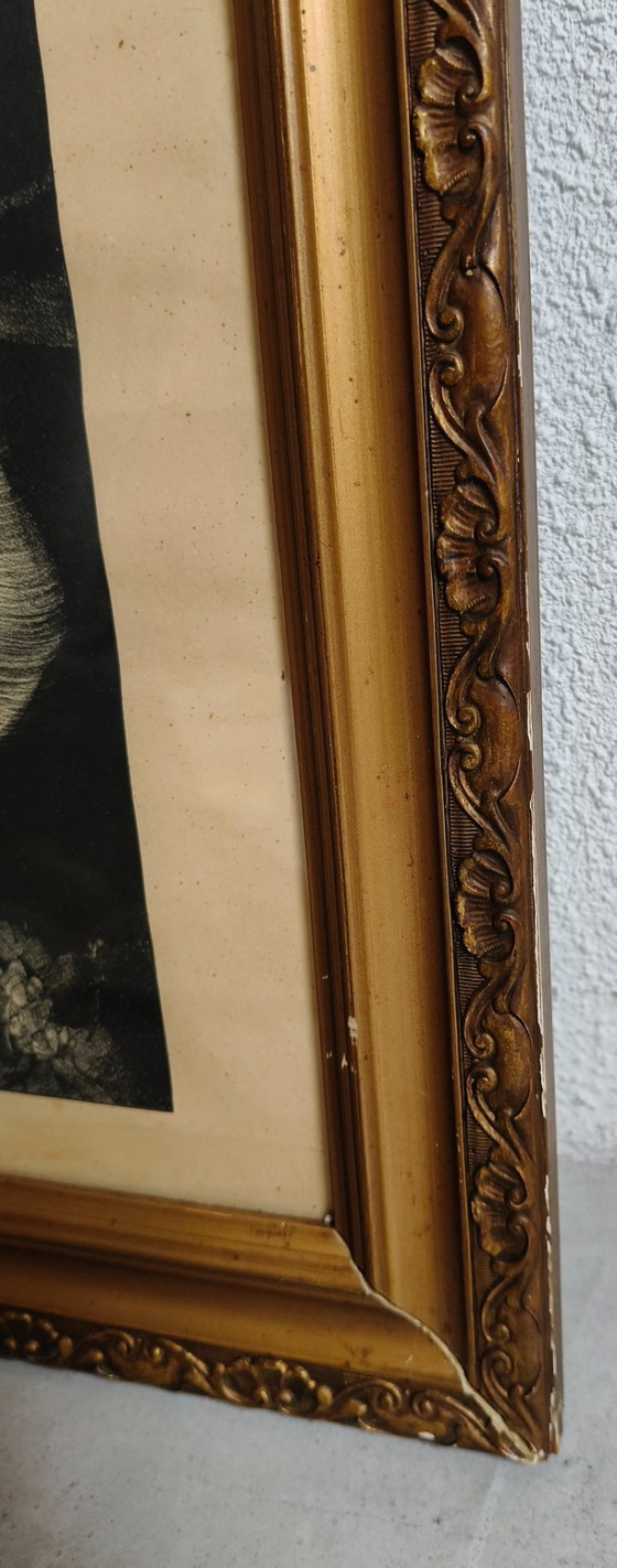 Image 1 of Adriaan Johannes van 't Hoff - Oiseau de paradis sur une branche - Lithographie
