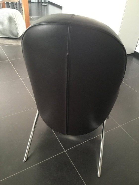 Image 1 of Poltrona Rocky IPdesign