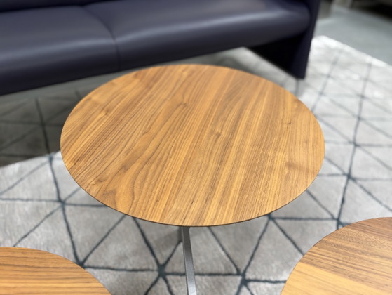 Leolux Ninfea Coffee table walnut houf, Wood, Multi Color (photo 5 of 14)