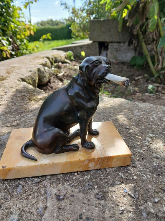 Tarjetero de Bronce Patinado, Perro con Mandíbula Articulada, Esculturas, Marrón (foto 2 de 6)