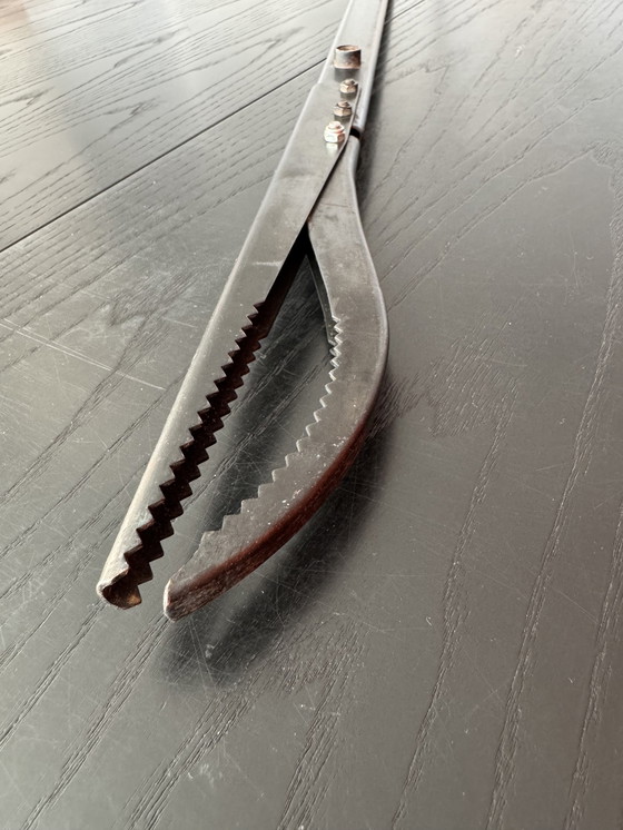 Image 1 of Alessi Hair tongs 'Leina' Designed By Architect Pep Bonet