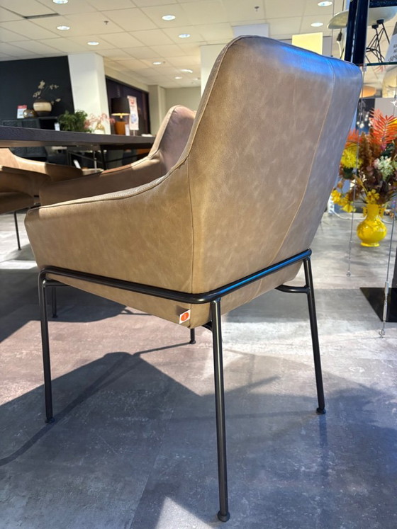 Jess Design Jolly Armchairs set of 6 – Dining chairs, Leather (photo 2 of 4)