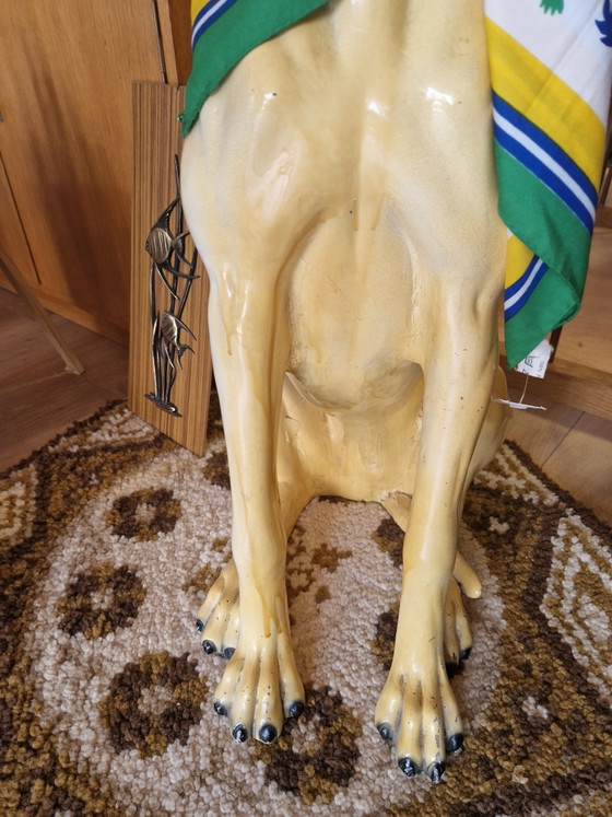 Image 1 of Bassano Greyhound