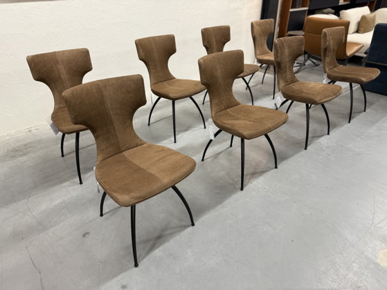 4 Leolux Callas Esszimmerstühle Danza, Leder, Braun (Foto 6 von 12)
