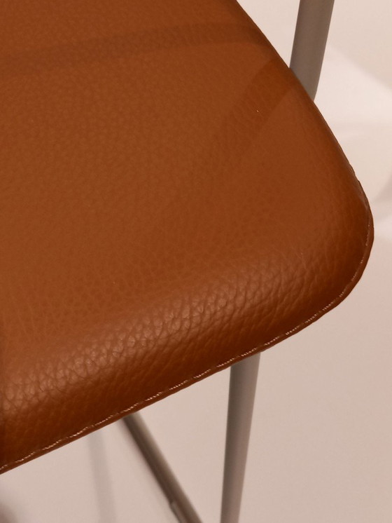 Image 1 of BertPlantagie enset Daisy S/4