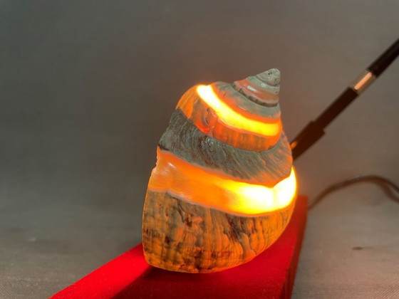 Image 1 of Juego de escritorio con luz de concha náutica y bolígrafo, años 40