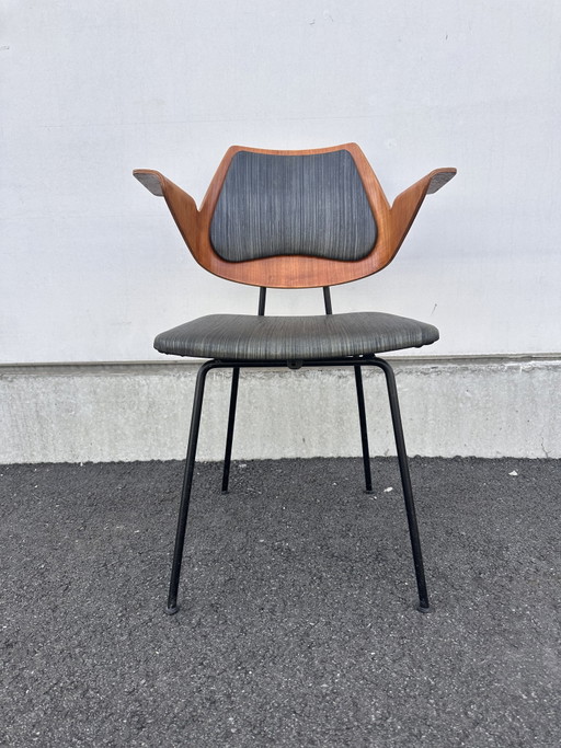Rara poltrona Robin Day per Hille, Regno Unito, circa 1951-1953