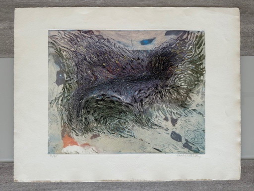 Litografia "Metamorfosi" di Shirley Estelle Witebsky