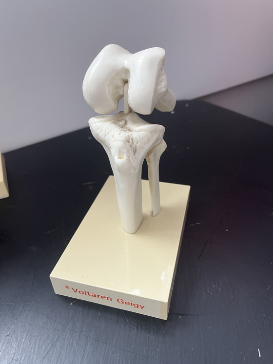 Image 1 of Ginocchio