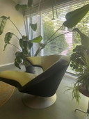 Fauteuil Leolux Parabolica