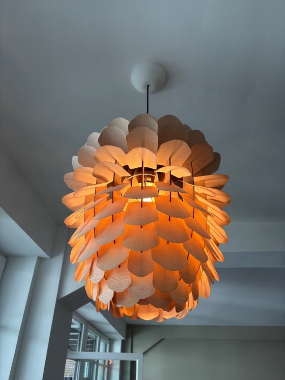 Lampada a sospensione Schneid „Zappy“ Frassino, Taglia M, Lampade a sospensione, Legno, Marrone, Modern (foto 2 di 10)