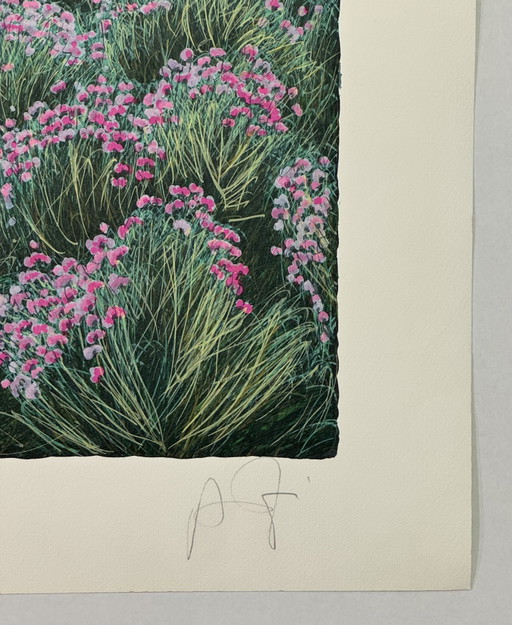 Quadro Serigrafia Franco Azzinari, distesa in campagna 60x80cm, arte moderna