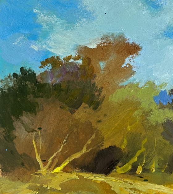 Image 1 of Original Oil Painting Summer River Landscape Summer day in the outback