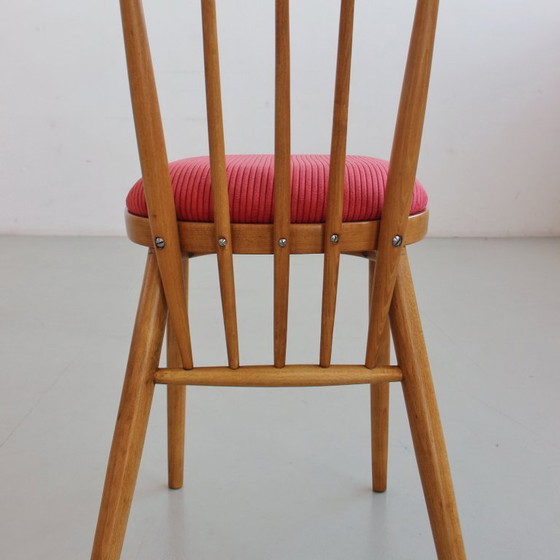 Image 1 of Een paar stoelen uit het midden van de 20e eeuw, Tsjecho-Slowakije, volledig gerestaureerd en opnieuw bekleed, vintage jaren 60.